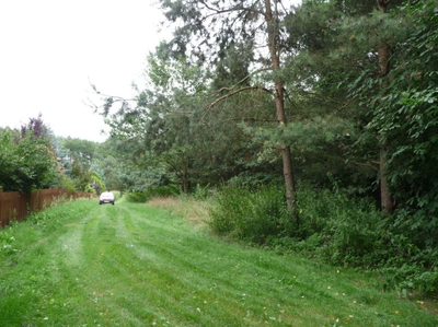 OFERUJEMY PAŃSTWU DO SPRZEDAŻY DZIAŁKĘ POD BUDOWĘ USYTUOWANĄ W OBRĘBIE DYCHÓW w gminie Bobrowice, powiat krośnieński. - 3