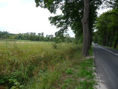 OFERUJEMY PAŃSTWU DO SPRZEDAŻY DZIAŁKĘ POD BUDOWĘ USYTUOWANĄ W OBRĘBIE DYCHÓW w gminie Bobrowice, powiat krośnieński. - 5