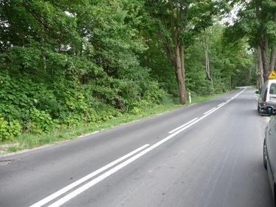 OFERUJEMY PAŃSTWU DO SPRZEDAŻY DZIAŁKĘ POD BUDOWĘ USYTUOWANĄ W OBRĘBIE DYCHÓW w gminie Bobrowice, powiat krośnieński. - 3