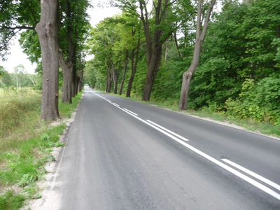 OFERUJEMY PAŃSTWU DO SPRZEDAŻY DZIAŁKĘ POD BUDOWĘ USYTUOWANĄ W OBRĘBIE DYCHÓW w gminie Bobrowice, powiat krośnieński. - 2