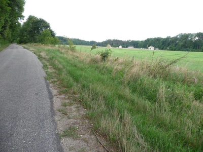 OFERUJEMY PAŃSTWU DO SPRZEDAŻY DZIAŁKĘ POD BUDOWĘ USYTUOWANĄ W OBRĘBIE DYCHÓW w gminie Bobrowice, powiat krośnieński. - 2