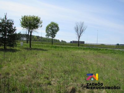 MOŻLIWOŚĆ WYSTĄPIENIA DO GMINY O WARUNKI ZABUDOWY POD BUDOWNICTWO MIESZKANIOWE - DOMKI JEDNORODZINNE LUB POD USŁUGOWE NA SIEDZIBĘ FIRMY. - 4