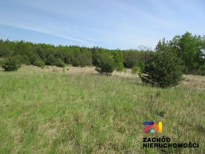 MOŻLIWOŚĆ WYSTĄPIENIA DO GMINY O WARUNKI ZABUDOWY POD BUDOWNICTWO MIESZKANIOWE - DOMKI JEDNORODZINNE LUB POD USŁUGOWE NA SIEDZIBĘ FIRMY. - 5