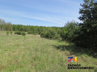 MOŻLIWOŚĆ WYSTĄPIENIA DO GMINY O WARUNKI ZABUDOWY POD BUDOWNICTWO MIESZKANIOWE - DOMKI JEDNORODZINNE LUB POD USŁUGOWE NA SIEDZIBĘ FIRMY. - 2