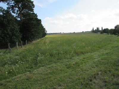 Proponujemy na sprzedaż interesującą działkę inwestycyjną o powierzchni 16,9 ha, położoną w Nowogrodzie Bobrzańskim, oddaloną 20 km od Zielonej Góry. - 2