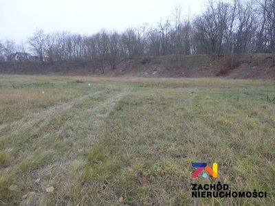 OFERUJEMY PAŃSTWU NA SPRZEDAŻ DZIAŁKĘ BUDOWLANĄ USYTUOWANĄ W KROŚNIE ODRZAŃSKIM (OBRĘB NOWY ZAGÓR). - 3