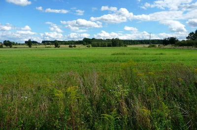Oferujemy Państwo kupno działki o powierzchni 3000m2 zlokalizowanej w gminie Nowogród Bobrzański. Działka jest w kształcie kwadratu.