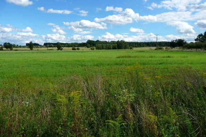 Oferujemy Państwo kupno działki o powierzchni 3000m2 zlokalizowanej w gminie Nowogród Bobrzański. Działka jest w kształcie kwadratu. - 16380227-1l.jpg