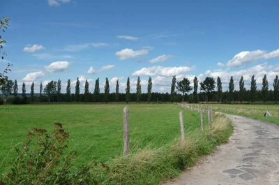 Oferujemy Państwo kupno działki o powierzchni 3000m2 zlokalizowanej w gminie Nowogród Bobrzański. Działka jest w kształcie kwadratu. - 2