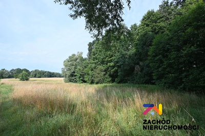 Działka rolna z możliwością uzyskania decyzji o warunkach zabudowy