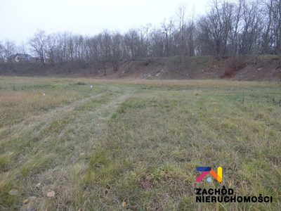 OFERUJEMY PAŃSTWU NA SPRZEDAŻ DZIAŁKĘ BUDOWLANĄ USYTUOWANĄ W KROŚNIE ODRZAŃSKIM (OBRĘB NOWY ZAGÓR). - 3