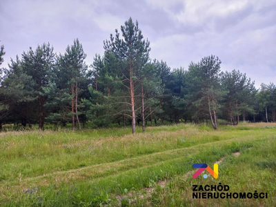 Prezentujemy Państwu kompleks działek budowlanych w miejscowości Zabór, zaledwie 17km od Zielonej Góry. Idealne miejsce dla osób ceniących spokój i ciszę.