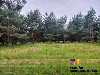 Prezentujemy Państwu kompleks działek budowlanych w miejscowości Zabór, zaledwie 17km od Zielonej Góry. Idealne miejsce dla osób ceniących spokój i ciszę. - 5