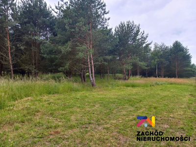Prezentujemy Państwu kompleks działek budowlanych w miejscowości Zabór, zaledwie 17km od Zielonej Góry. Idealne miejsce dla osób ceniących spokój i ciszę. - 2