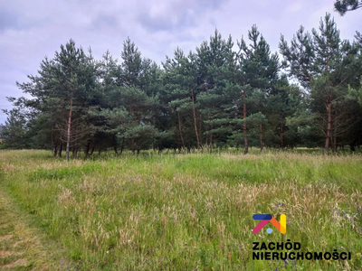 Prezentujemy Państwu kompleks działek budowlanych w miejscowości Zabór, zaledwie 17km od Zielonej Góry. Idealne miejsce dla osób ceniących spokój i ciszę. - 4