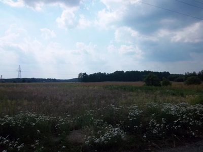 Przedstawiam Państwu dużą działkę budowlaną w Radnicy 9 km od Krosna Odrz.