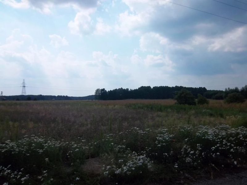 Przedstawiam Państwu dużą działkę budowlaną w Radnicy 9 km od Krosna Odrz. - 39530227-1l.jpg