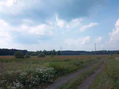 Przedstawiam Państwu dużą działkę budowlaną w Radnicy 9 km od Krosna Odrz. - 4