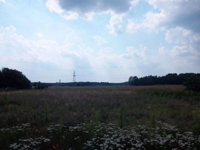 Przedstawiam Państwu dużą działkę budowlaną w Radnicy 9 km od Krosna Odrz. - 3