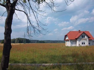 Przedstawiam Państwu dużą działkę budowlaną w Radnicy 9 km od Krosna Odrz. - 2
