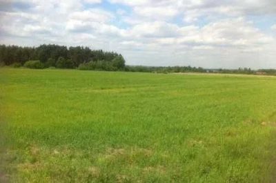 OFERUJEMY PAŃSTWU DO SPRZEDAŻY DZIAŁKĘ ROLNĄ USYTUOWANĄ W MIEJSCOWOŚCI RADWANÓW w gminie Kożuchów. Działka posiada pow. 46 arów. Dojazd do działki drogą szutrową. Media: prąd, woda w pobliżu.  W okol…