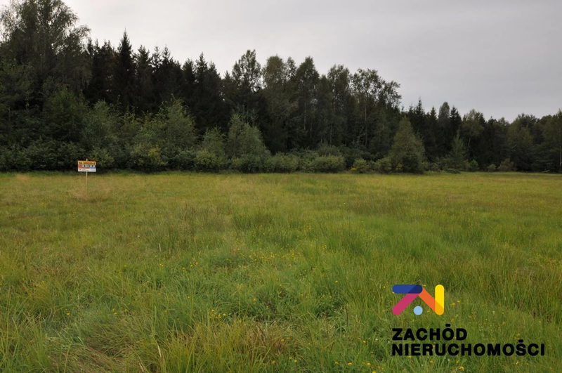 Oferujemy Państwu na sprzedaż działkę budowlaną w miejscowości Krzywczyce opow. 3029m2 zlokalizowaną w gminie Niegosłowice - 155580227-1l.jpg