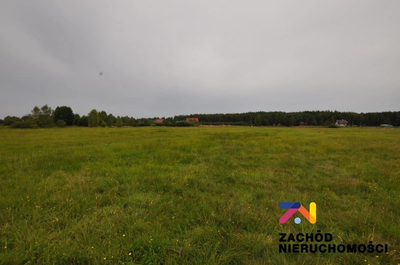 Oferujemy Państwu na sprzedaż działkę budowlaną w miejscowości Krzywczyce opow. 3029m2 zlokalizowaną w gminie Niegosłowice - 4