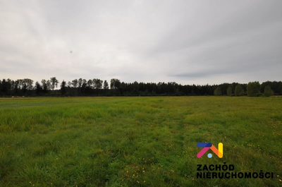 Oferujemy Państwu na sprzedaż działkę budowlaną w miejscowości Krzywczyce opow. 3029m2 zlokalizowaną w gminie Niegosłowice - 3