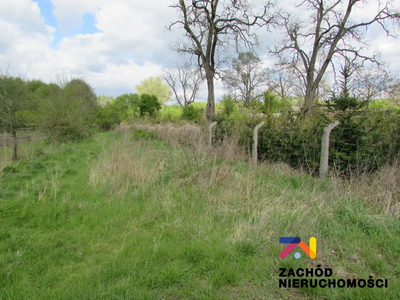 Na sprzedaż działka o powierzchni 800 m2 usytuowane bezpośrednio przy drodze głównej w miejscowości Sycowice- Gmina Czerwieńsk. - 2