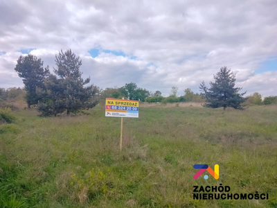 Prezentujemy Państwu kompleks 3 działek budowlanych w miejscowości Zabór, zaledwie 17km od Zielonej Góry. Idealne miejsce dla osób ceniących spokój i ciszę. - 3