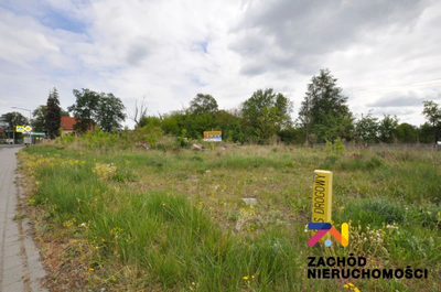 Na sprzedaż działka o powierzchni 500 m2 usytuowana bezpośrednio przy drodze głównej w miejscowości Sycowice- Gmina Czerwieńsk. - 3