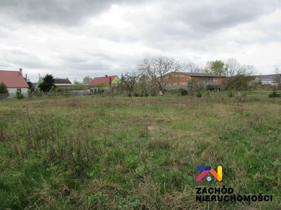 Na sprzedaż działki o powierzchni 1105 m2 oraz 1169 m2 usytuowane w miejscowości Klenica w Gminie Bojadła. Dojazd do działek drogą gminną szutrową.