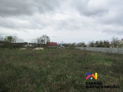 Na sprzedaż działki o powierzchni 1105 m2 oraz 1169 m2 usytuowane w miejscowości Klenica w Gminie Bojadła. Dojazd do działek drogą gminną szutrową. - 4