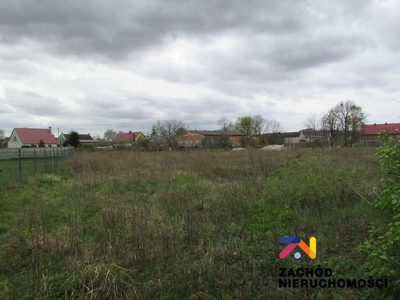 Na sprzedaż działki o powierzchni 1105 m2 oraz 1169 m2 usytuowane w miejscowości Klenica w Gminie Bojadła. Dojazd do działek drogą gminną szutrową. - 3
