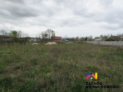 Na sprzedaż działki o powierzchni 1105 m2 oraz 1169 m2 usytuowane w miejscowości Klenica w Gminie Bojadła. Dojazd do działek drogą gminną szutrową. - 2