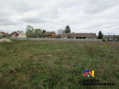 Na sprzedaż działki o powierzchni 1105 m2 oraz 1169 m2 usytuowane w miejscowości Klenica w Gminie Bojadła. Dojazd do działek drogą gminną szutrową. - 5