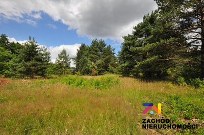 DZIAŁKA BUDOWLANA 1068 m2.
