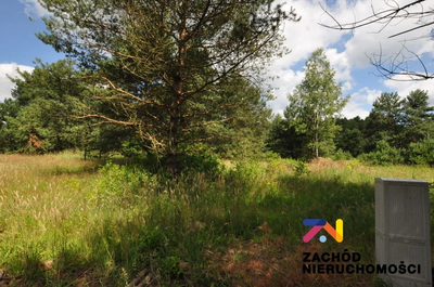 DZIAŁKA BUDOWLANA 1068 m2. - 4