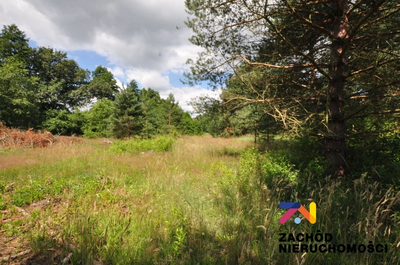 DZIAŁKA BUDOWLANA 1068 m2. - 3