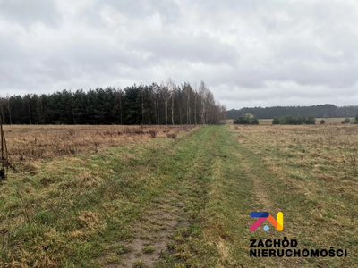 OFERUJEMY PAŃSTWU NA SPRZEDAŻ DZIAŁKĘ BUDOWLANĄW MIEJSCOWOŚCI CZARNA GM. ZABÓR. - 4