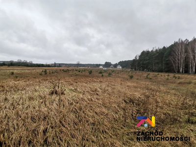 OFERUJEMY PAŃSTWU NA SPRZEDAŻ DZIAŁKĘ BUDOWLANĄW MIEJSCOWOŚCI CZARNA GM. ZABÓR. - 2