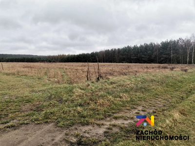 OFERUJEMY PAŃSTWU NA SPRZEDAŻ DZIAŁKĘ BUDOWLANĄW MIEJSCOWOŚCI CZARNA GM. ZABÓR. - 3