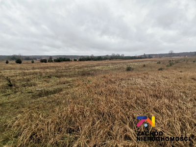 OFERUJEMY PAŃSTWU NA SPRZEDAŻ DZIAŁKĘ BUDOWLANĄ Z MOŻLIWOŚCIĄ PODZIAŁU NA MNIEJSZE DZIAŁKI W MIEJSCOWOŚCI CZARNA GM. ZABÓR.