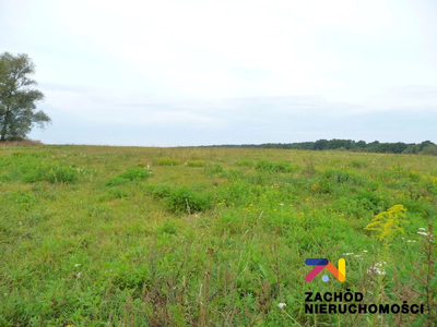 Proponujemy Państwu do sprzedaży malowniczo położoną działkę budowlaną o pow. 1069 m2 w Gminie Zabór.