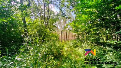 Oferujemy Państwu na sprzedaż działkę budowlaną o pow. 1033m2 zlokalizowaną w Ochli przy ul. Strumykowej