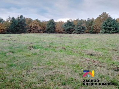 Na sprzedaż 4 działki o powierzchni od 1064 m2 do 1186 m2 zlokalizowana w miejscowości Świdnica koło Zielonej Góry. Działki w kształcie prostokąta, nie zadrzewiona, oddalona 200 m od najbliższych zab…