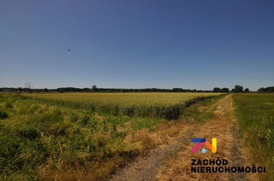 Na sprzedaż działka rolna o powierzchni 46675 m2 usytuowana w Zielonej Górze- Zawada.