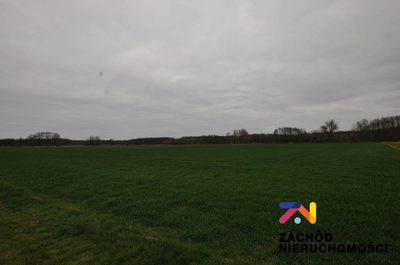 Na sprzedaż działki rolne o powierzchni 1,75 Ha i 0,31 Ha usytuowane w Zielonej Górze- Zawada.