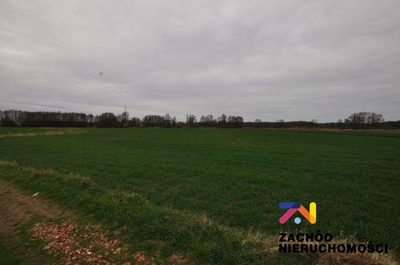 Na sprzedaż działka rolna o powierzchni 6000 m2 usytuowana w Zielonej Górze- Zawada.