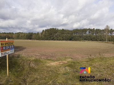 OFERUJEMY PAŃSTWU NIERUCHOMOŚĆ POŁOŻONĄ W OBRĘBIE BIEŻYCE GMINA GUBIN, POWIAT KROŚNIEŃSKI.